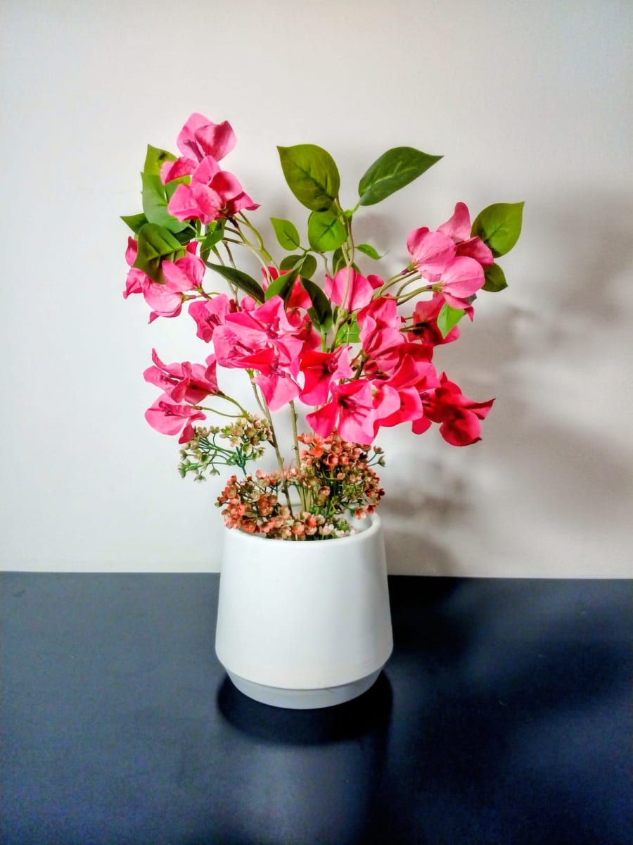Blush image 1